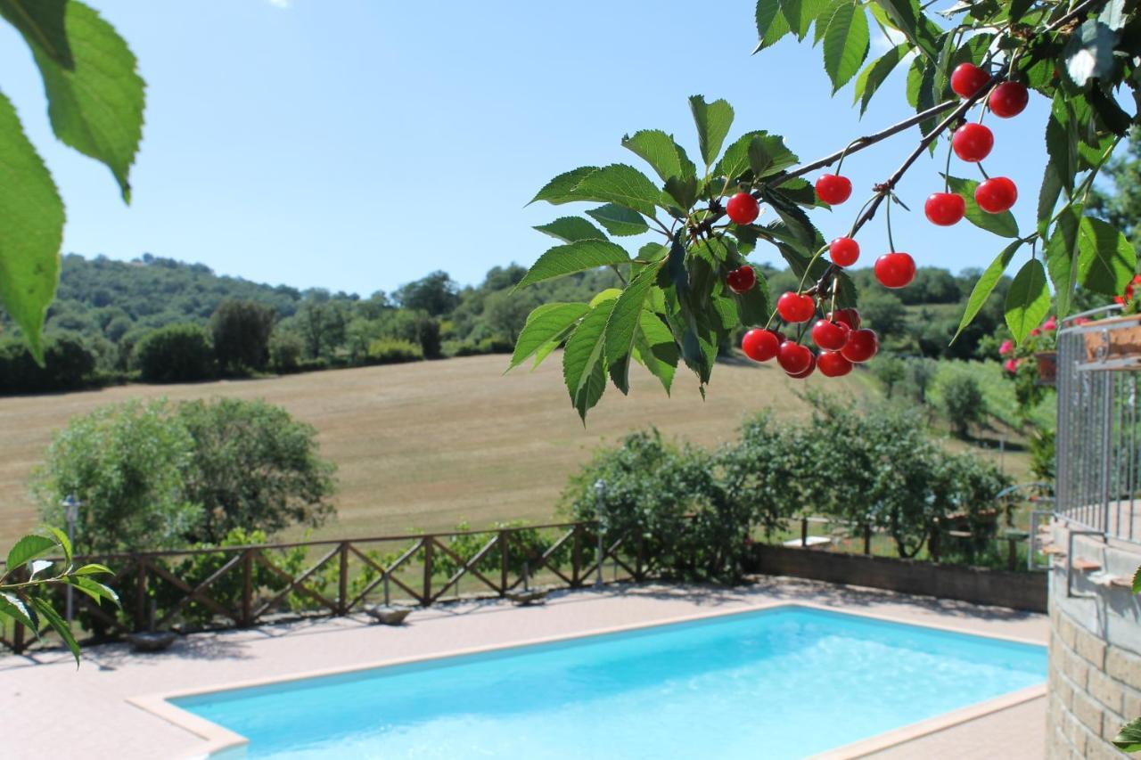 Villa Macchiapiana Scansano Exterior foto